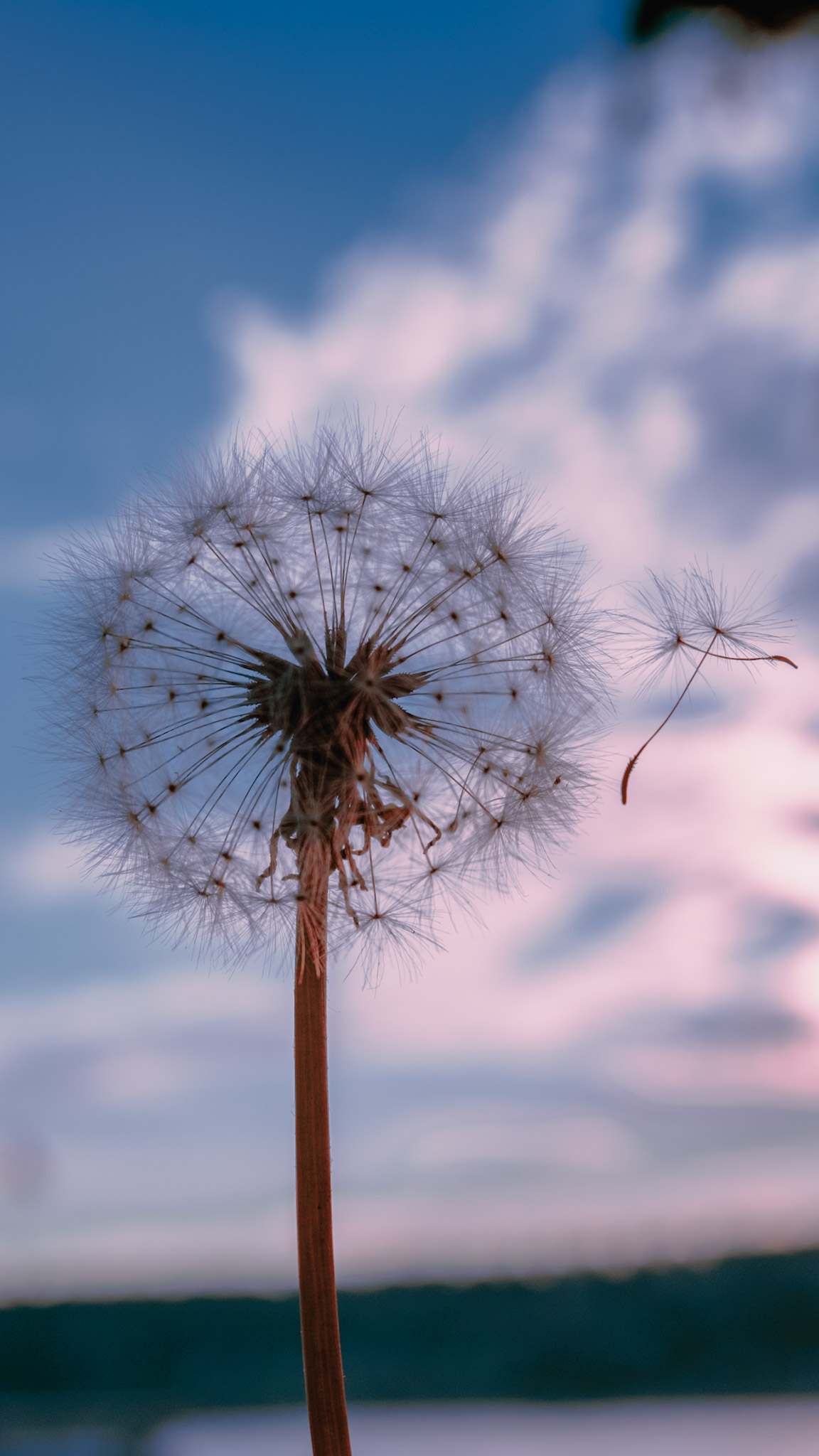 Fotoğraf çalışması