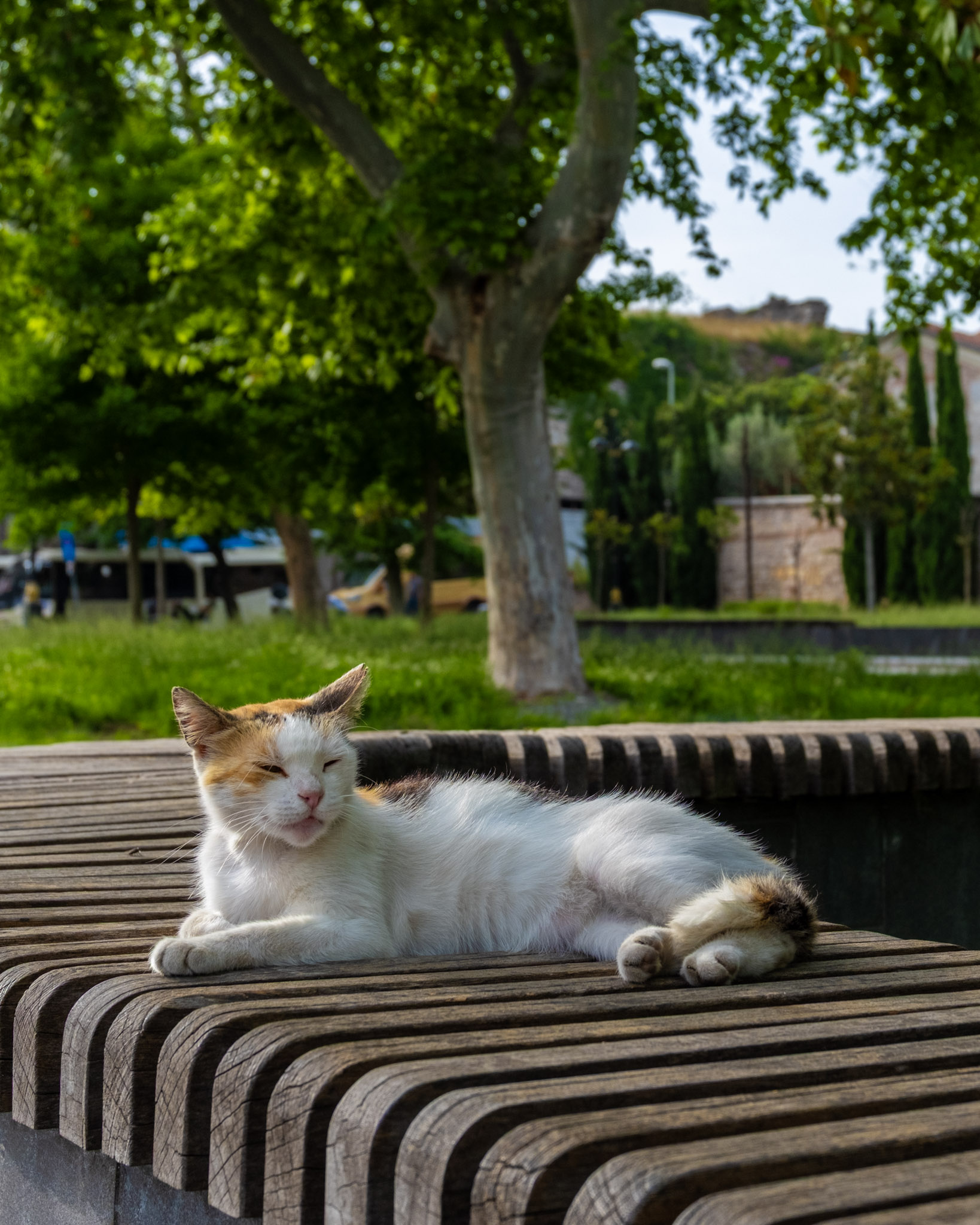 Fotoğraf çalışması