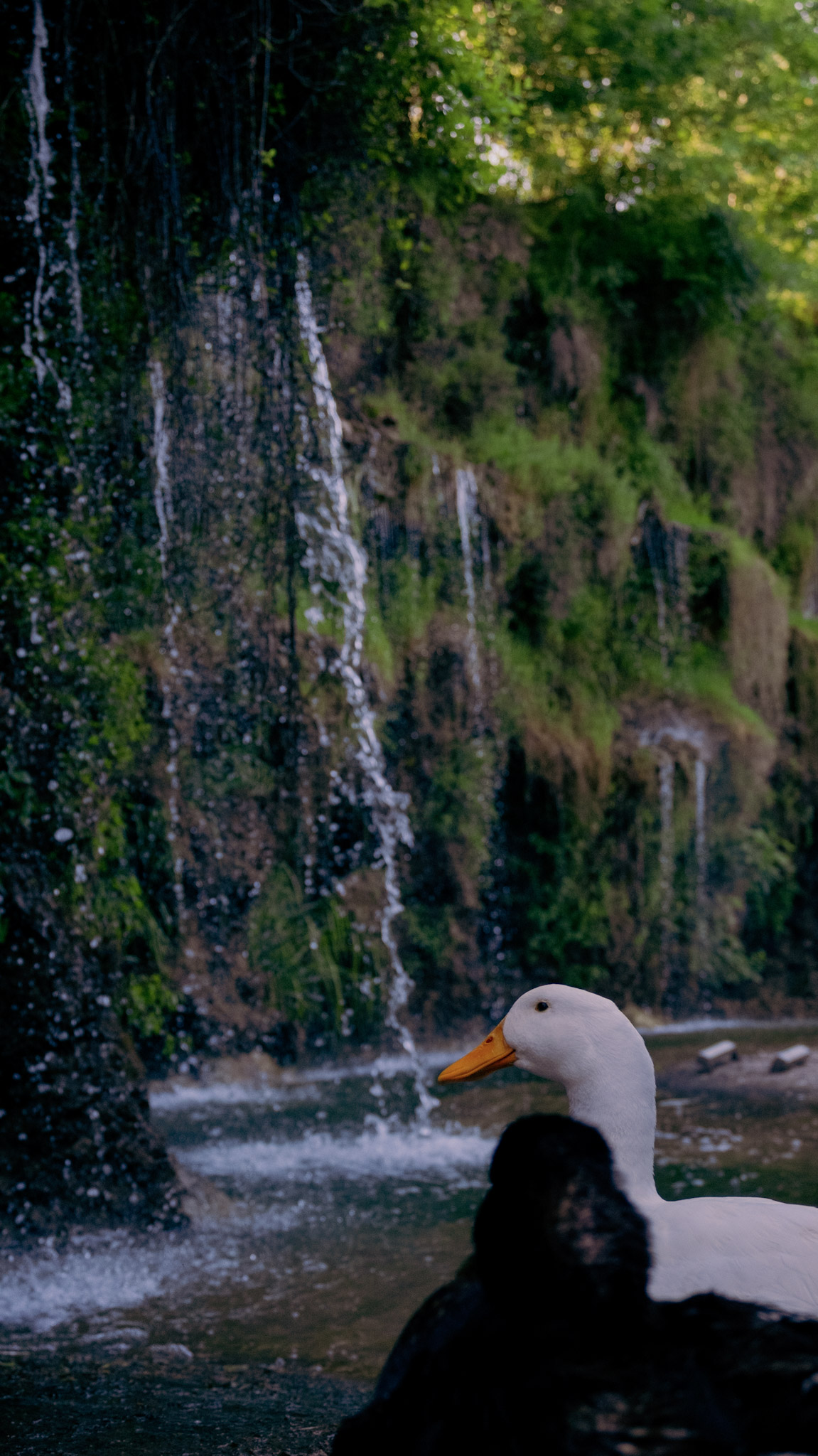 Fotoğraf çalışması